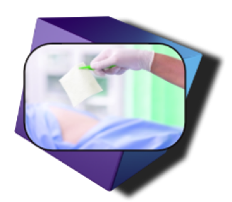 Berry Creative sample icon