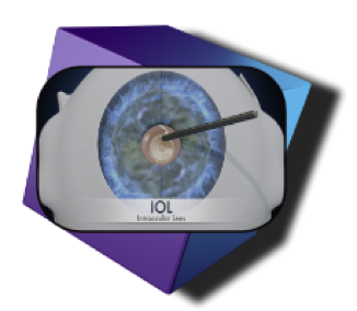 Berry Creative sample icon